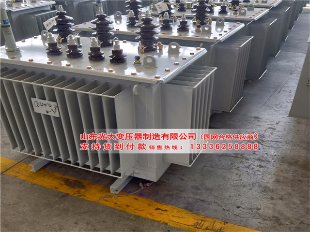 西藏S13-1000KVA变压器