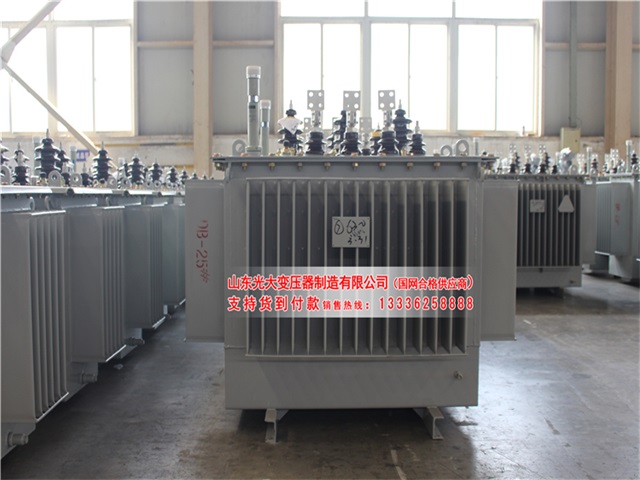 西藏S22-4000KVA油浸式变压器